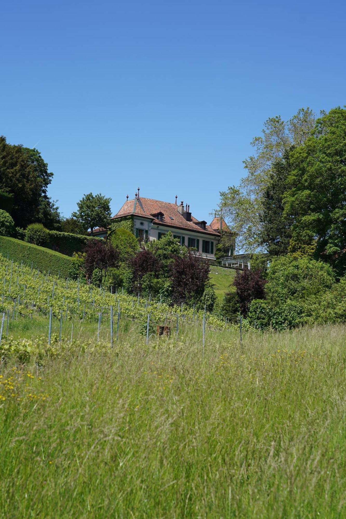 Le Chateau Lavigny Zewnętrze zdjęcie
